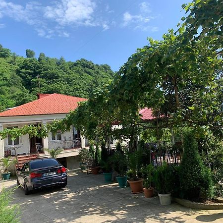 Guesthouse Mtsvane Koncxi 22 Mtsvane Konts'khi Esterno foto