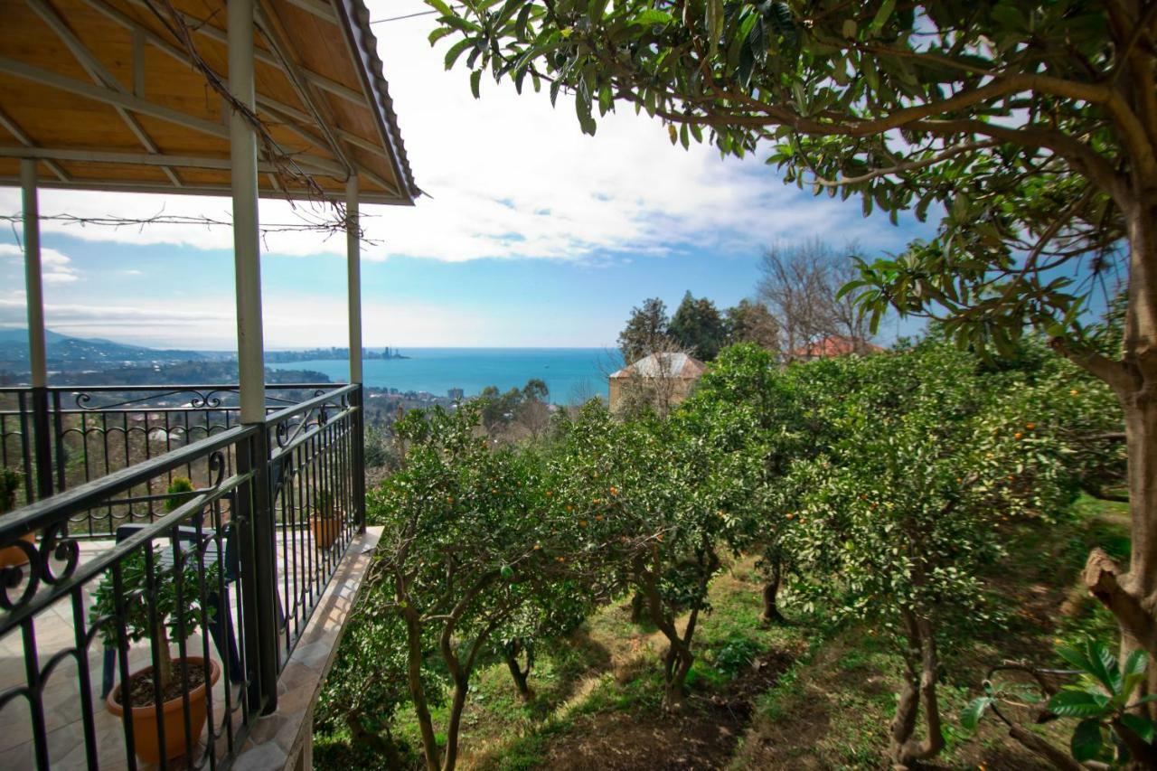 Guesthouse Mtsvane Koncxi 22 Mtsvane Konts'khi Esterno foto